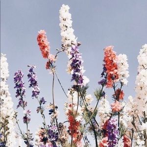 Meet your Posher, Lea